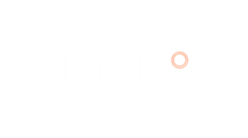 פרויקט Feibel 19