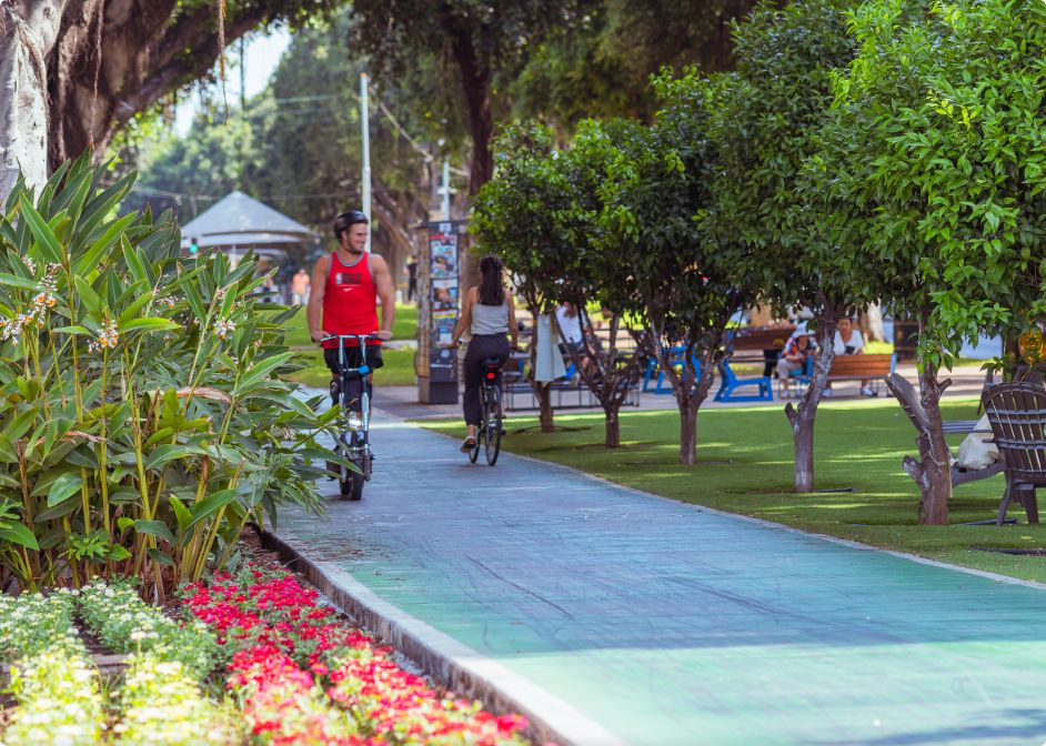 שני אנשים רוכבים על אופניים בשביל שעובר בפארק עם עצים, פרחים וספסלים ביום שטוף שמש.